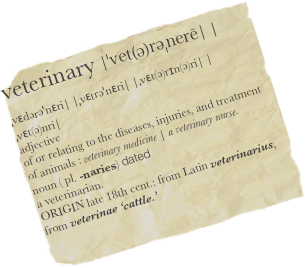 veterinary |ˈvet(ə)rəˌnerē| |ˌvɛdərəˈnɛri| |ˌvɛtrəˈnɛri| |ˌvɛt(ə)rɪn(ə)ri| |ˌvɛt(ə)nri|
adjective
of or relating to the diseases, injuries, and treatment of animals : veterinary medicine | a veterinary nurse.
noun ( pl. -naries) dated
a veterinarian.
ORIGIN late 18th cent.: from Latin veterinarius, from veterinae ‘cattle.’